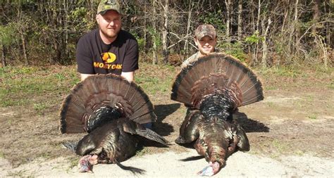 Turkey Hunting in N Ga .